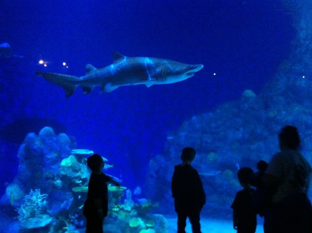 The Senses - Using Lighting to Improve Your Marketing